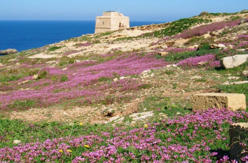  L-Ambjent Fuq Nett Tal-Aġenda Għall-Poplu Malti