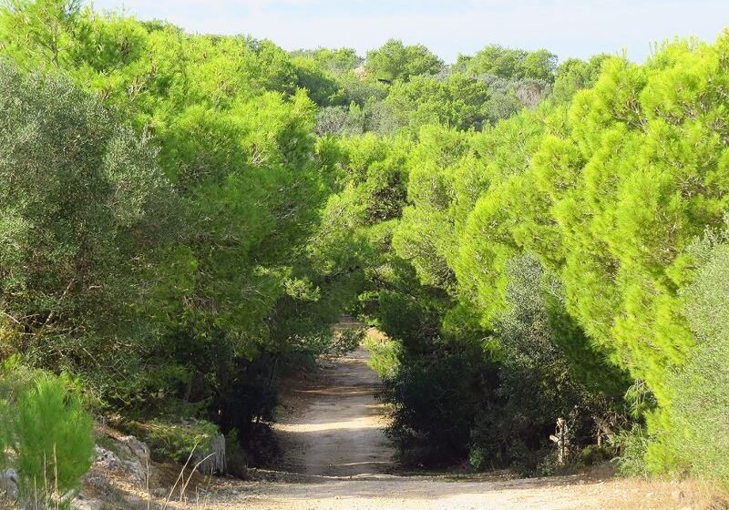  Il-Pubbliku Se Jibqa’ Jkollu Aċċess Liberu Għar-Riservi Fil-Miżieb U L-Aħrax Tul Is-Sena Kollha