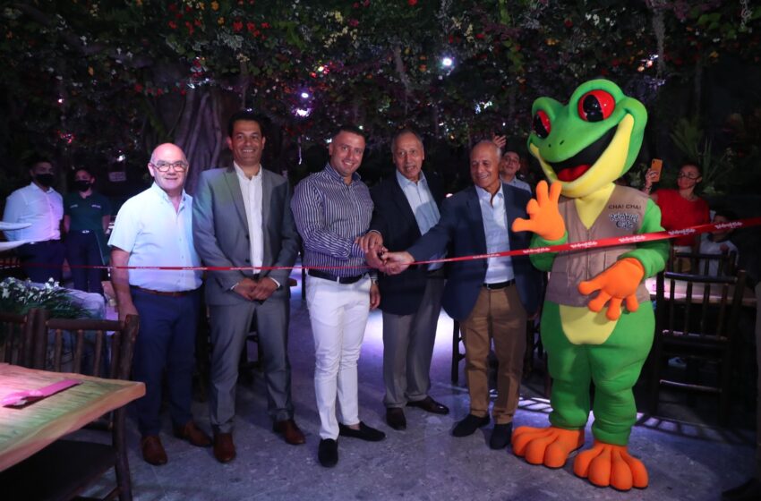  ‘Rainforest Cafe’ Jiftaħ Il-Bibien Tiegħu F’Pajjiżna