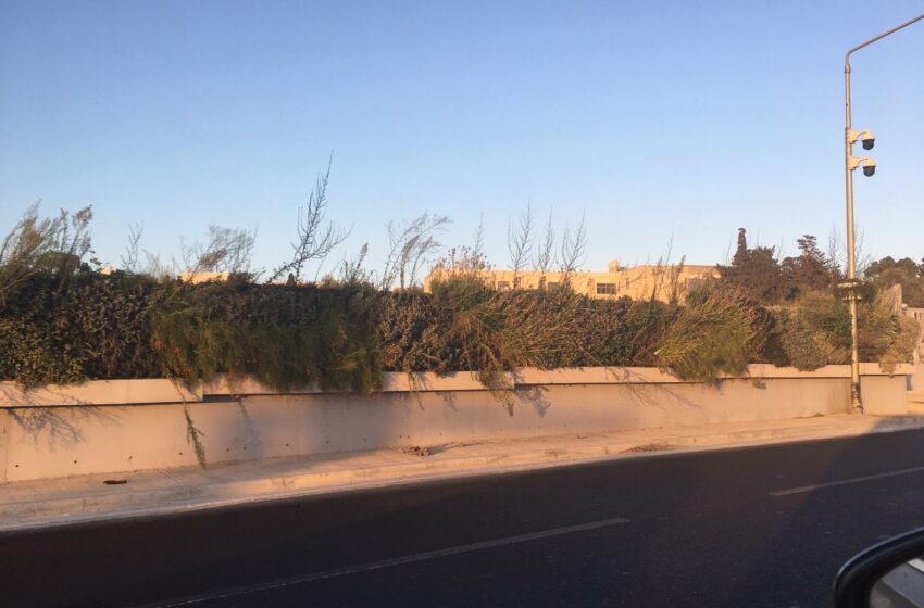  Il-‘Green Walls’ Mimlija Ħaxix Ħażin… Se Ssir Manutenzjoni?