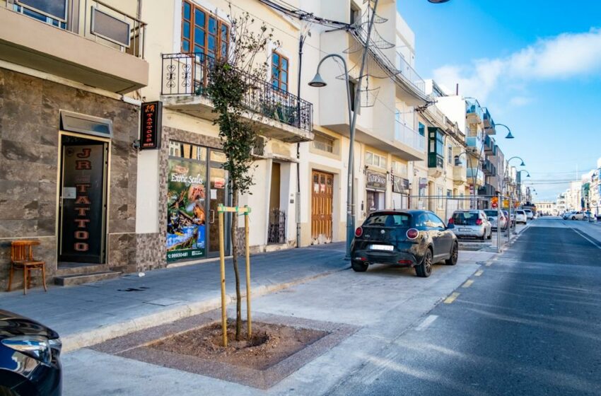  It-Tħaddir Urban Fi Vjal Il-Ħelsien Ħaż-Żebbuġ Miexi Ġmielu