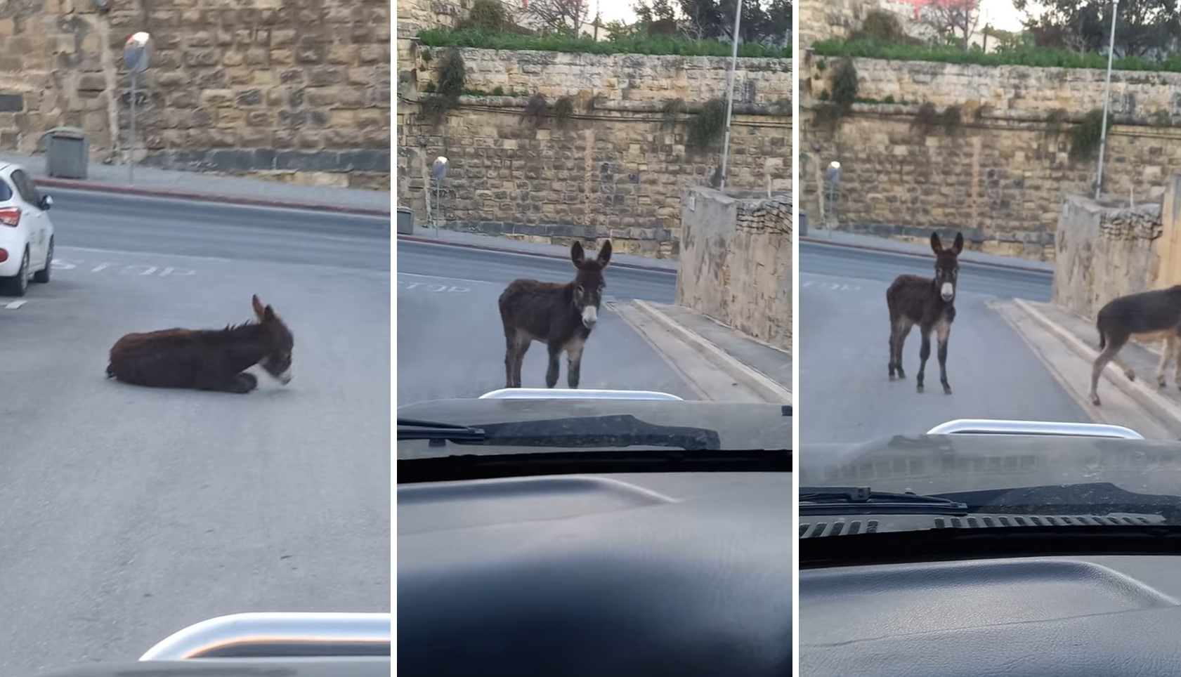 Bil-Filmat: Żewġt Iħmir Iduru Fit-Toroq Tal-Kalkara...Jidhru Li Kienu ...