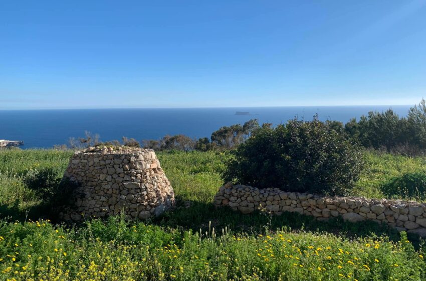  Temp Xemxi U Sabiħ…It-Temperatura Qed Iżid Ukoll