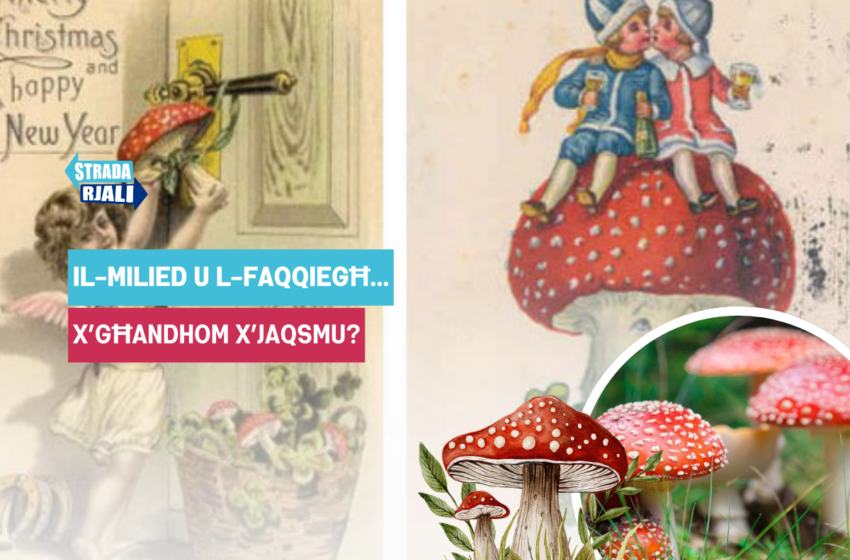  Il-Milied u l-Faqqiegħ…x’Għandom x’Jaqsmu?